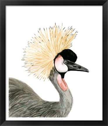 Framed Watercolor Crested Crane Print