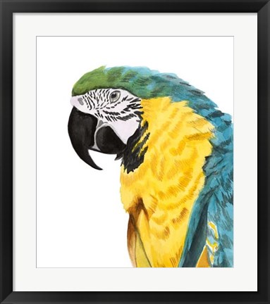 Framed Watercolor Parrot Print