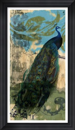 Framed Rustic Peacock I Print