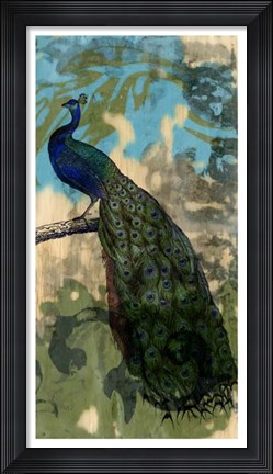 Framed Rustic Peacock II Print