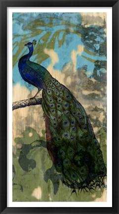 Framed Rustic Peacock II Print