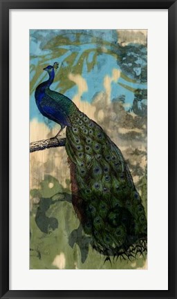 Framed Rustic Peacock II Print