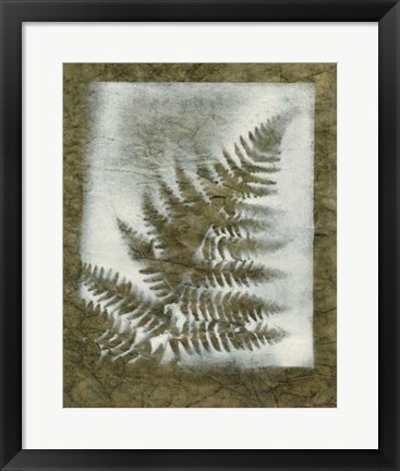 Framed Shadows &amp; Ferns I Print