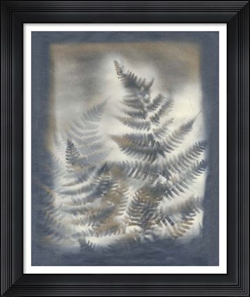 Framed Shadows &amp; Ferns V Print