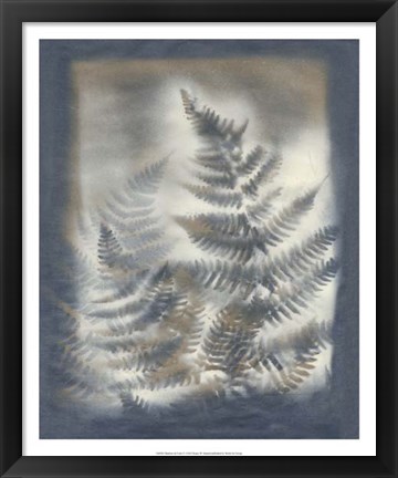 Framed Shadows &amp; Ferns V Print