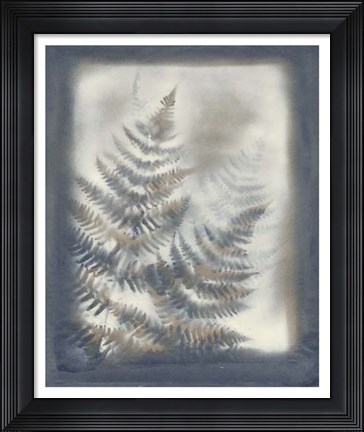 Framed Shadows &amp; Ferns VI Print