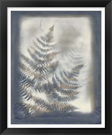 Framed Shadows &amp; Ferns VI Print