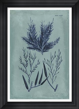 Framed Indigo &amp; Azure Seaweed I Print