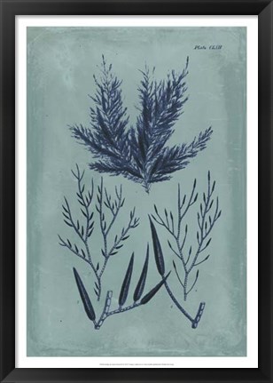 Framed Indigo &amp; Azure Seaweed I Print