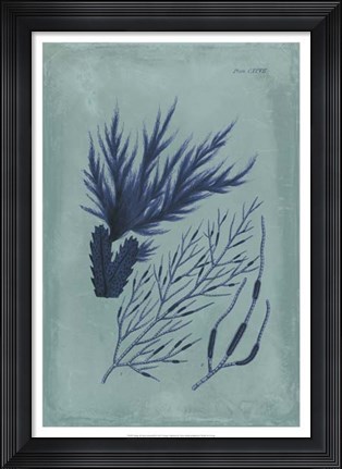 Framed Indigo &amp; Azure Seaweed II Print