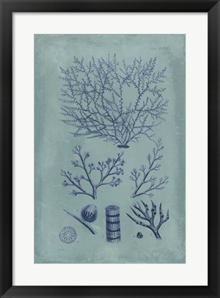 Framed Indigo &amp; Azure Seaweed III Print