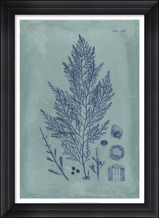Framed Indigo &amp; Azure Seaweed IV Print