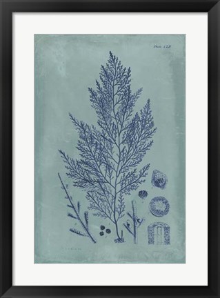 Framed Indigo &amp; Azure Seaweed IV Print