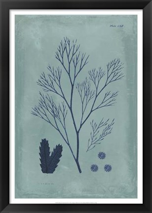 Framed Indigo &amp; Azure Seaweed V Print