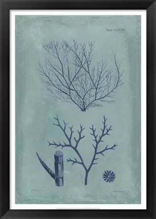 Framed Indigo &amp; Azure Seaweed VII Print