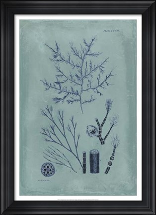 Framed Indigo &amp; Azure Seaweed VIII Print