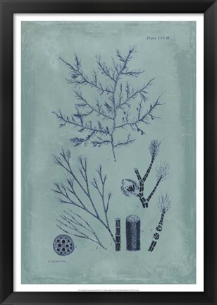 Framed Indigo &amp; Azure Seaweed VIII Print