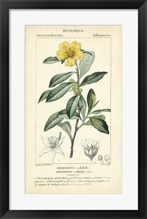 Framed Botanique Study in Yellow I Print
