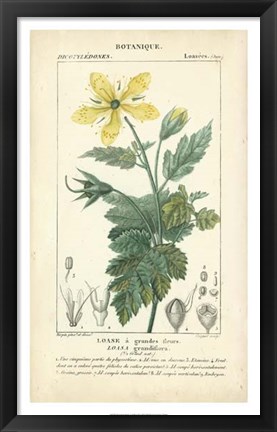 Framed Botanique Study in Yellow IV Print