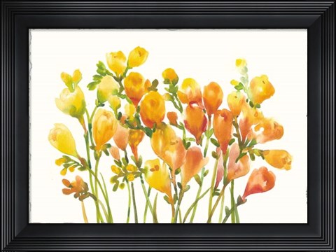 Framed Freesia I Print