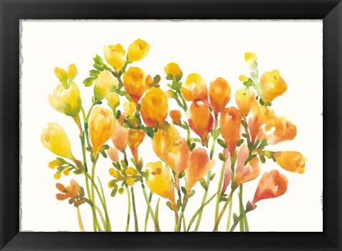 Framed Freesia I Print