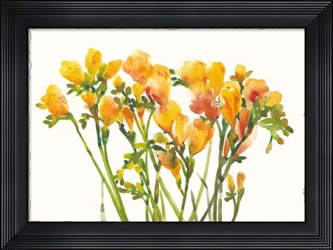 Framed Freesia II Print