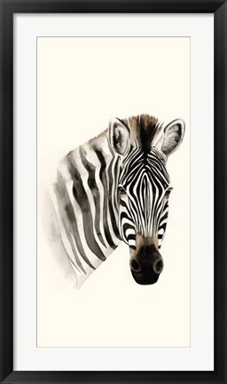 Framed Safari Portrait II Print