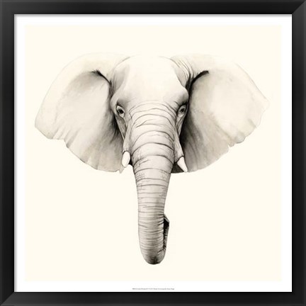 Framed Safari Portrait IV Print