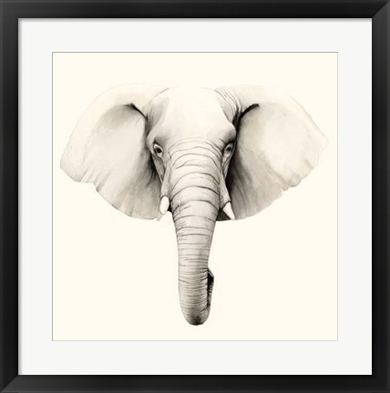 Framed Safari Portrait IV Print