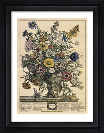 Framed November/Twelve Months of Flowers, 1730 Print