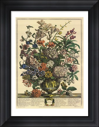 Framed July/Twelve Months of Flowers, 1732 Print