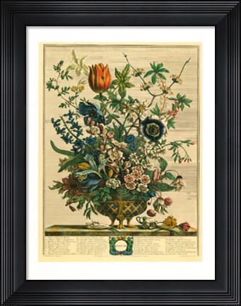Framed February/Twelve Months of Flowers, 1730 Print