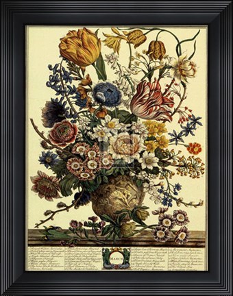 Framed March/Twelve Months of Flowers, 1730 Print