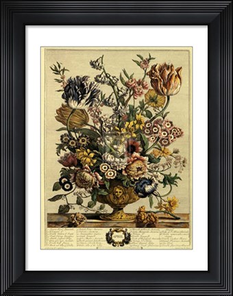 Framed April/Twelve Months of Flowers, 1730 Print