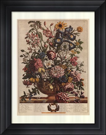 Framed June/Twelve Months of Flowers, 1732 Print