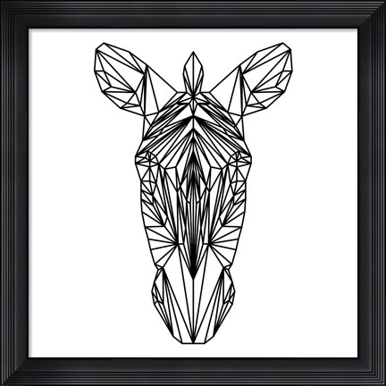 Framed Zebra on White Print