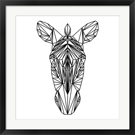 Framed Zebra on White Print