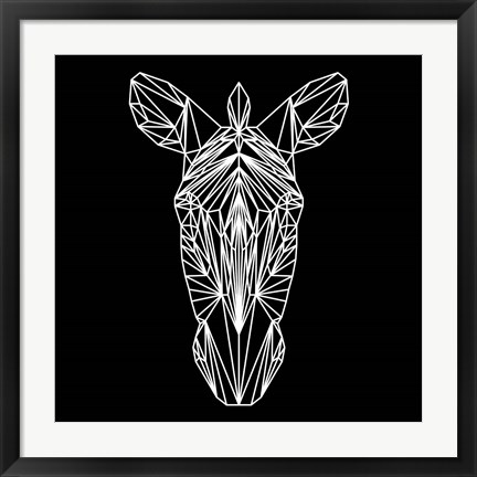 Framed Zebra on Black Print