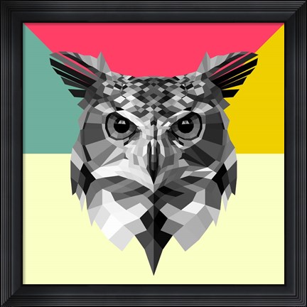Framed Owl Head Print