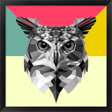 Framed Owl Head Print