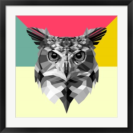 Framed Owl Head Print