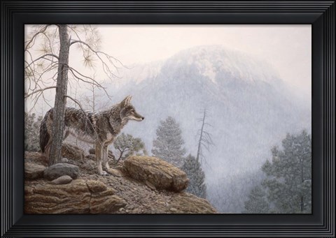 Framed Misty Lookout Print