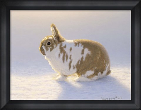 Framed Princess Print