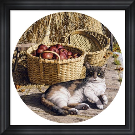 Framed Sunspot Print