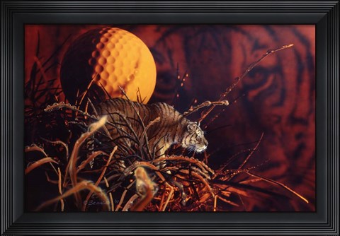 Framed Tiger In The Woods Print