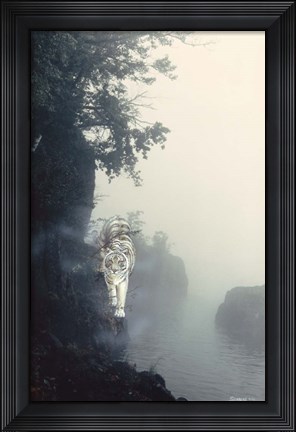 Framed Tiger On A Ledge Print