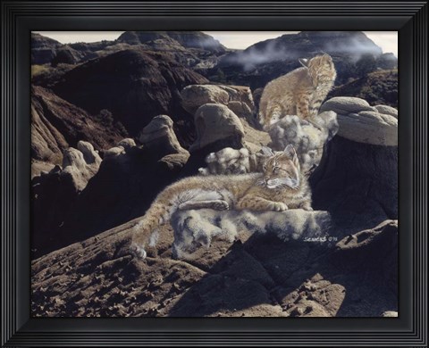 Framed After The Storm Print