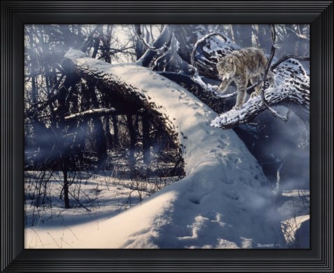 Framed Stairway Print