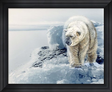 Framed Polar Dawn Print