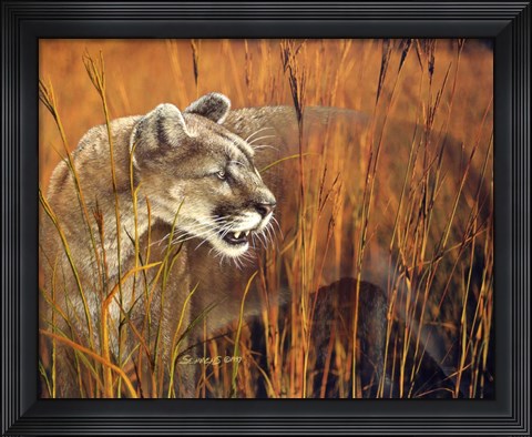 Framed Prairie Marauder Print